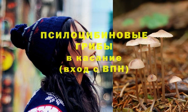 прущая мука Верея